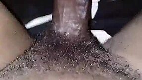 iamkingsnake shares updates on ig with compilation highlights