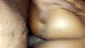 Stockings Display In Timeless Fashion