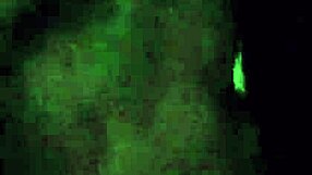 Slut Wife Hints At Horny Homemade Blowjob Leading To Fucking And Facial Cum Swallow