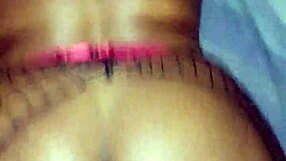 Stockings Display In Timeless Fashion