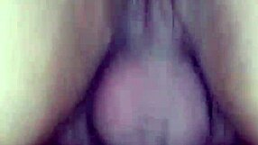 Specific latina bbw engages in fat fucking and sucking oral actions