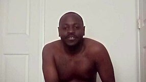 I Also Like Tea While a Scorpio That Resembles Vampires2