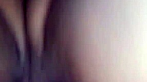 Specific latina bbw engages in fat fucking and sucking oral actions