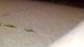 I just got back from that wild anal session at the 4th of July party