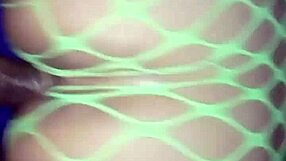 curvy peruvian amateur bent over in interracial doggystyle action