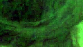 Amateur compilation of blowjob sessions with oral caresses and intense anal fucking set to music