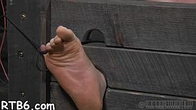 Exploring Features And Details Of The 003 Model Series