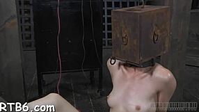 Exploring Features And Details Of The 003 Model Series