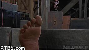 Exploring Features And Details Of The 003 Model Series