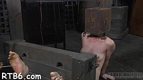 Exploring Features And Details Of The 003 Model Series