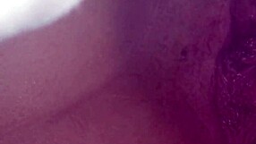 Amatör güzellik basit ve zarif sergide muhteşem anları yakalıyor