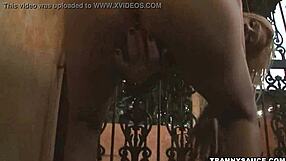 Foxy Blonde Shemale Honey Tugging Hard Cock