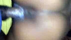 why settle for average when this ebony cougar takes big black cock in her wet ghetto pussy?