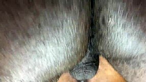 hey that chair sex was the best quickie with doggystyle and missionary vibes