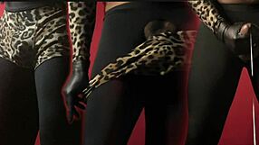 Raw Display of Strip Tease Moves in Seductive Dance and Teasing Performance