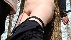 bound french housewife submits to maledom bondage in broceliande forest for outdoor humiliation