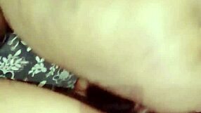 Sundaydogood614 Shares Latest Update 965 from Vid 20250412 172025 on Apr 12 2025