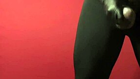 Raw Display of Strip Tease Moves in Seductive Dance and Teasing Performance