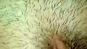 dedetes de los buenos offer quality options in the collection