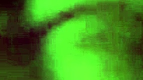 Big cock shoots cum on big tits