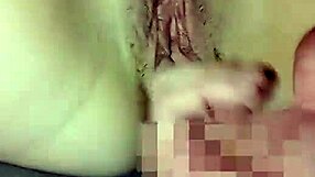 dedetes de los buenos offer quality options in the collection