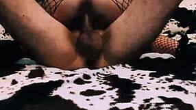 Elegant Amateur Couple Anal Sex