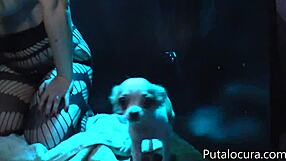 Spanish Marlen Doll Explores Gloryhole Thrills With Bent Over Blowjob And Facial Cumshot