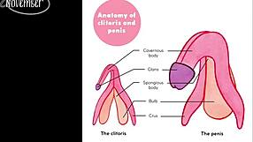 Hey, want tips on being amazing in bed? I'll spill everything!