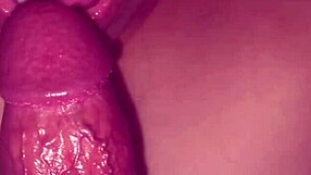 Stranger Cock Devoured by Cheating Wife