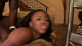 this big booty black nasty gal stacie lane craved it hard from big boy nat turner, moaning through passionate wet pussy sex