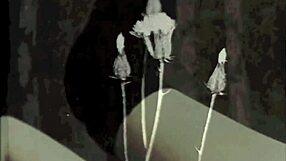 oh man the wonderful world of vintage porn threesomes is just amazing