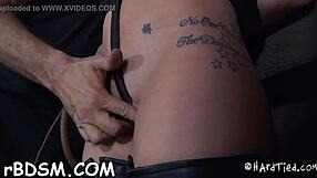 What secrets hide in code xv-f291e0ec7375fd942b2b06074ee8a6b8