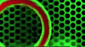 mz dani bends over to take rome major's big cock deep in her wet pussy while he licks her