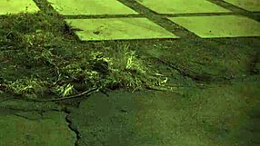 Outdoor orgy with big amazon domination - is this your first time like that?