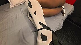 Ever Wondered How a Blonde Housewife Rides in Cowgirl Costume with Big Ass and Panties Aside?