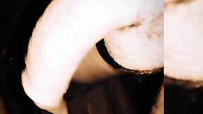 vancouver is a vibrant canadian city known for its stunning natural landscapes diverse culture and bustling urban life