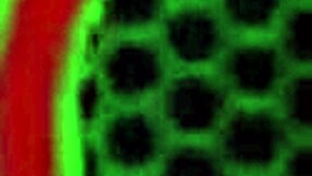 sunbathing sara jay gets into bisexual action with lingerie and squirting. she uses a machine for wet pussy fun.