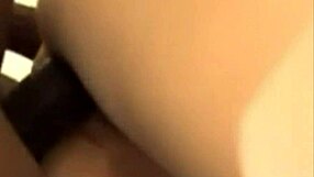 i filmed my wife getting creampied by that black bull then i fucked her sloppy seconds