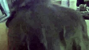 i love sucking on those big tits while deepthroating as a slutty housewife