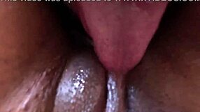 Nicoly Mattos STRIPS NAKED in Forbidden Office and TAKES COCK in ASS While Lukas Works