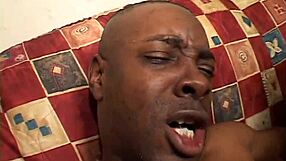 Hit That Phat Ebony Ass with Big Cock Doggystyle and Cowgirl Riding