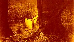 Ever wonder what vintage erotic hairy lesbians did in retro antique scenes?