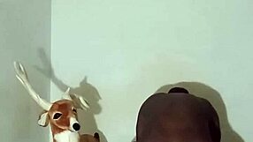 more ways to flaunt zodiac patience minus the solo play