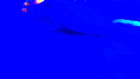 ever felt blacklight toes in hot footjob fetish?