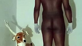 more ways to flaunt zodiac patience minus the solo play