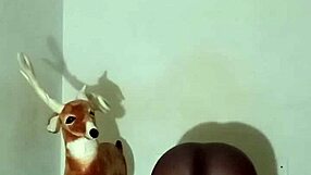 more ways to flaunt zodiac patience minus the solo play