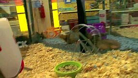 Fucking BIG TITS MILF on BED with DEEPTHROAT and DOGGYSTYLE