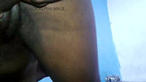 skinny shaved teen best friend moans rough on bbc while flashing lingerie pov full fuck