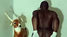 more ways to flaunt zodiac patience minus the solo play