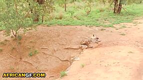 Sexy Ebony Girlfriend's Pussy Pounded Hard by BWC in Amateur Interracial